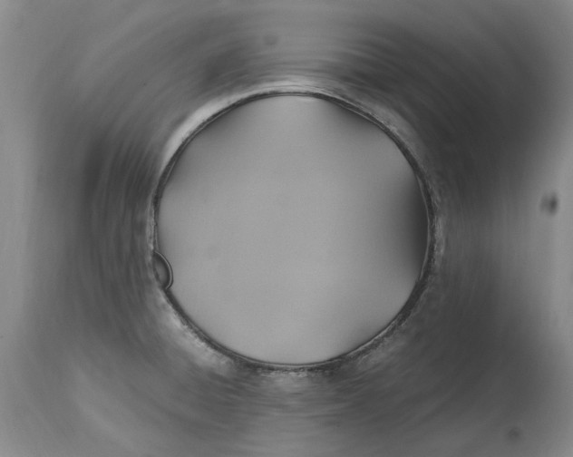 X0000114701428200911121530