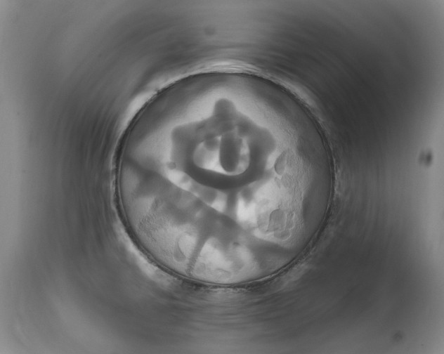 X0000114701430200911121530