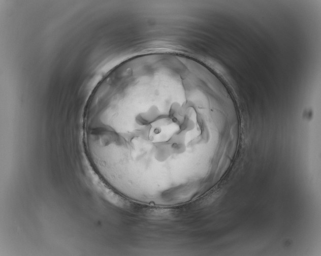 X0000114701431200911121530