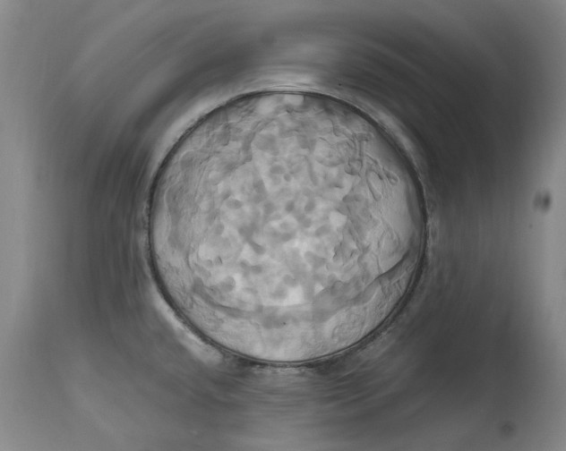 X0000114701432200911121530