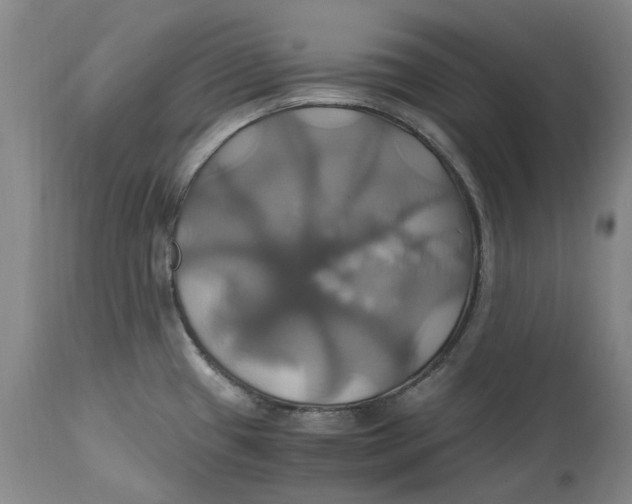 X0000114701433200911121530