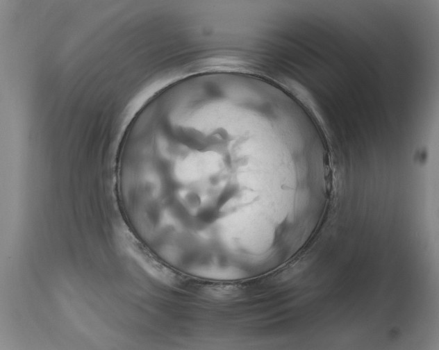 X0000114701435200911121530