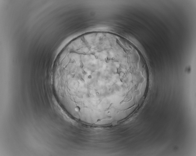 X0000114701436200911121530