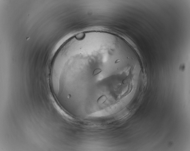 X0000114701438200911121530