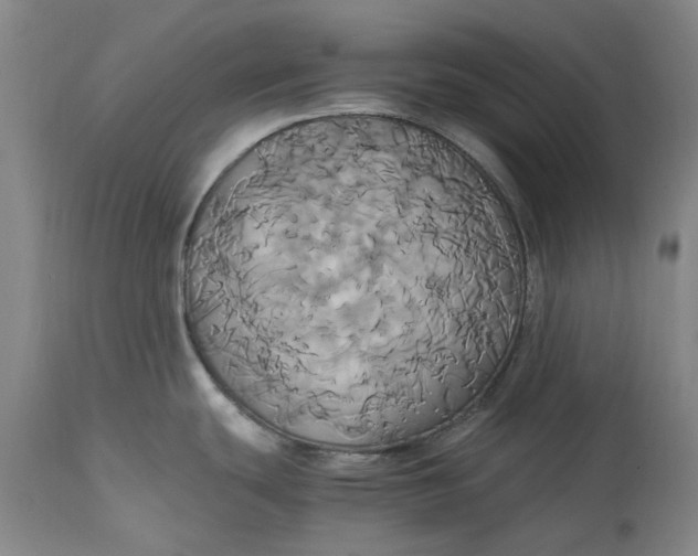 X0000114701439200911121530