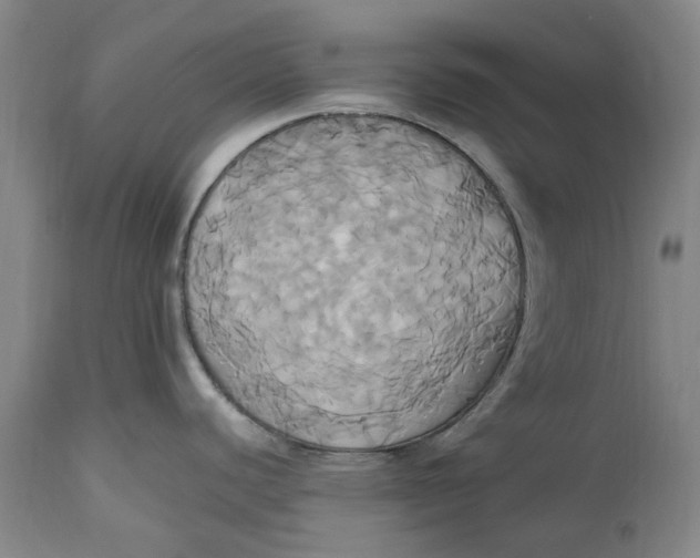 X0000114701440200911121530