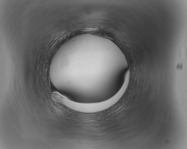 X0000114701441200911121530