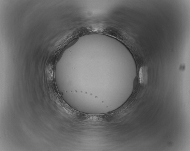 X0000114701443200911121530