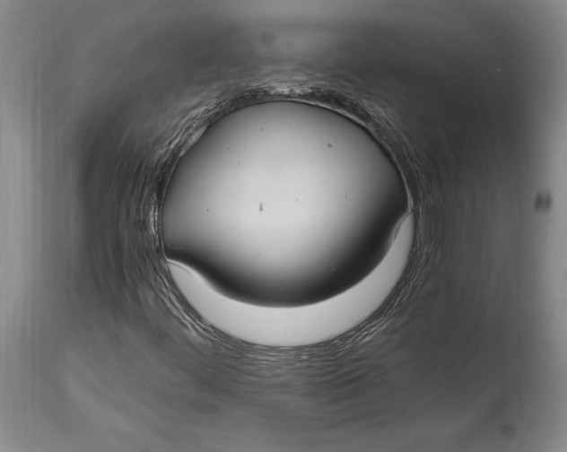 X0000114701444200911121529