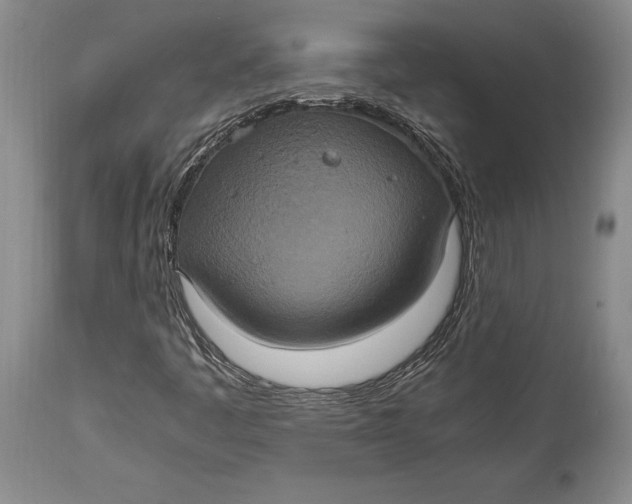 X0000114701445200911121529