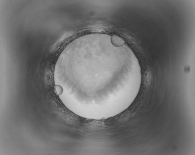 X0000114701446200911121529