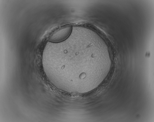 X0000114701447200911121529