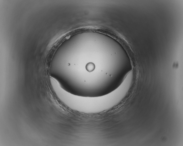 X0000114701448200911121529