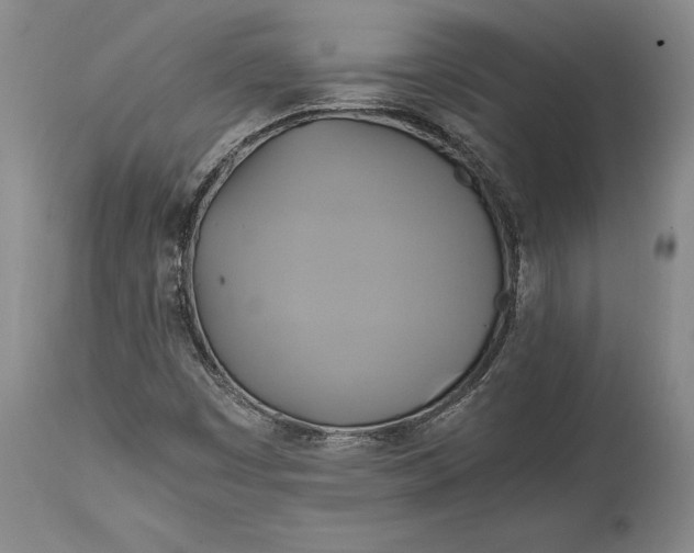 X0000114701449200911121529