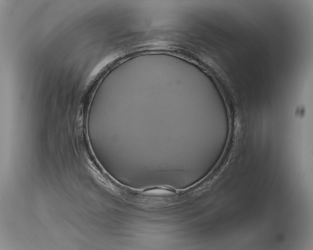 X0000114701450200911121529