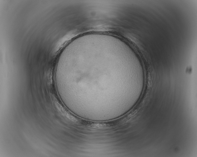 X0000114701451200911121529