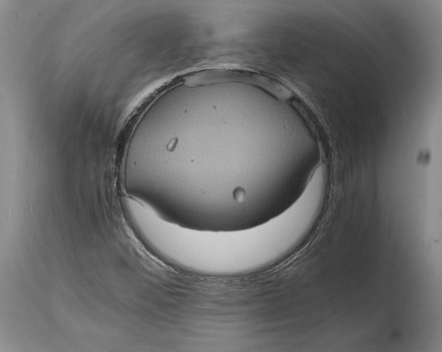 X0000114701452200911121529