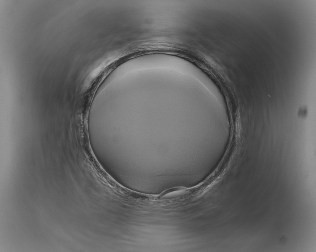 X0000114701453200911121529