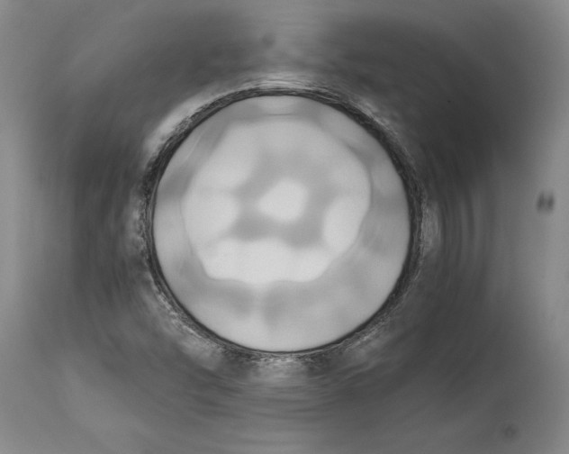 X0000114701454200911121529