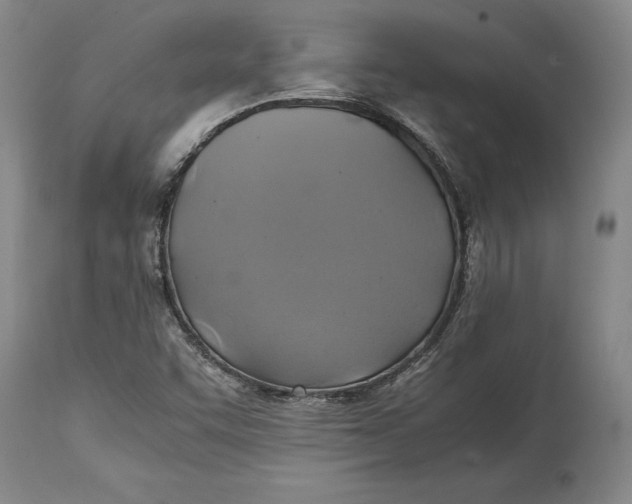 X0000114701455200911121529