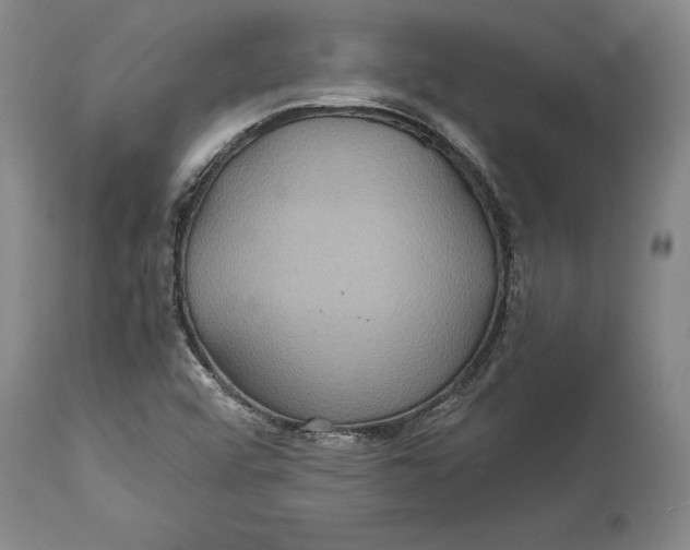 X0000114701456200911121529