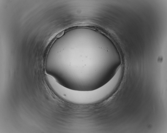 X0000114701457200911121529