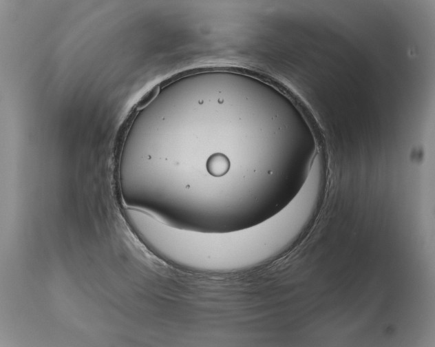 X0000114701460200911121529