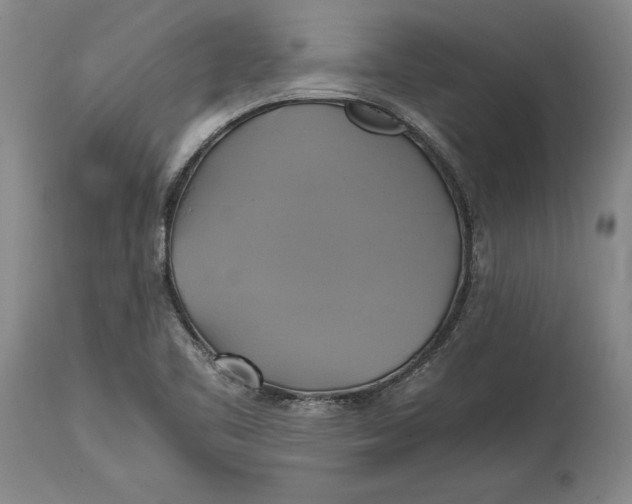 X0000114701461200911121529