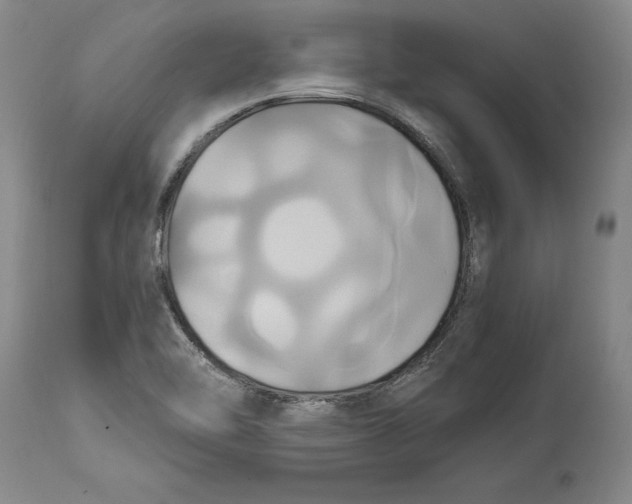 X0000114701462200911121529