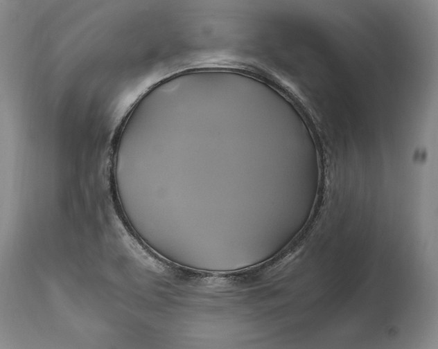 X0000114701463200911121529