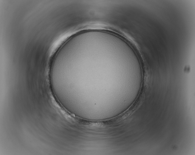 X0000114701464200911121529