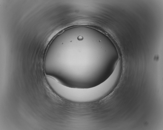 X0000114701465200911121529