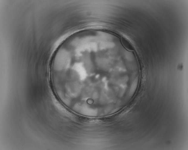 X0000114701467200911121529