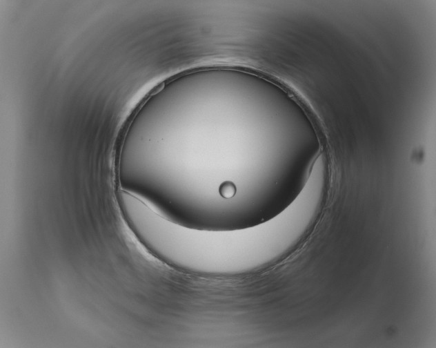 X0000114701468200911121529