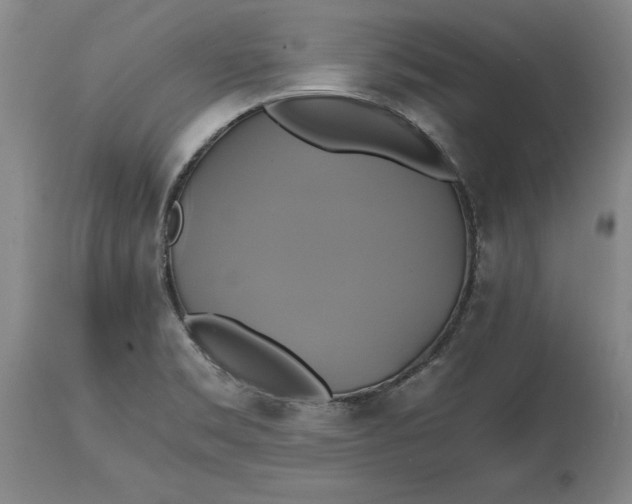 X0000114701469200911121529