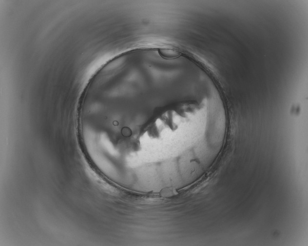 X0000114701471200911121529