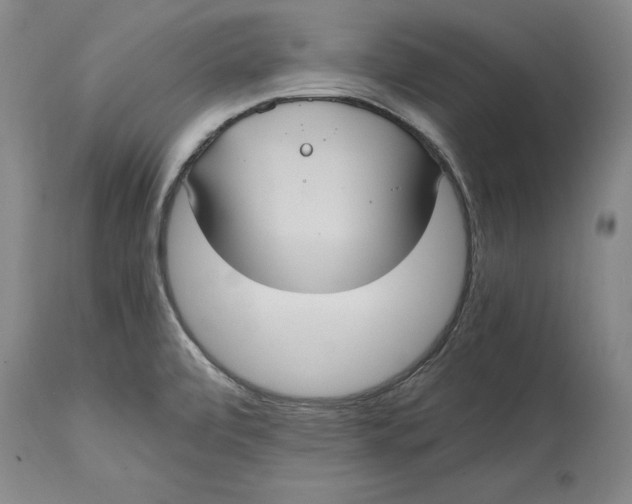 X0000114701472200911121529