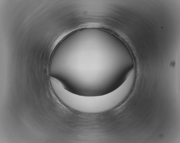 X0000114701473200911121529