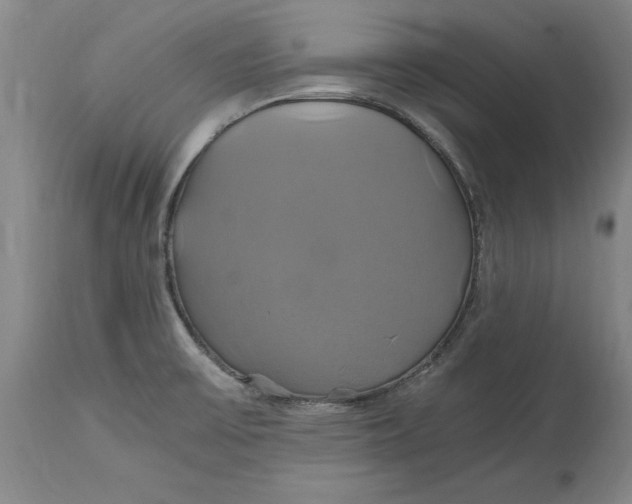 X0000114701475200911121529