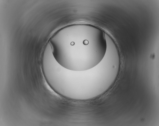 X0000114701476200911121529