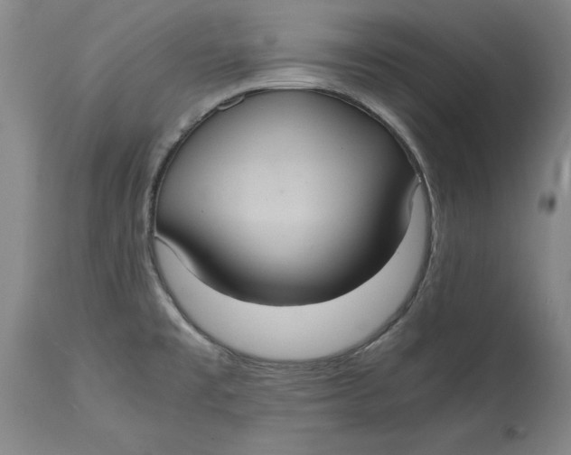 X0000114701477200911121529