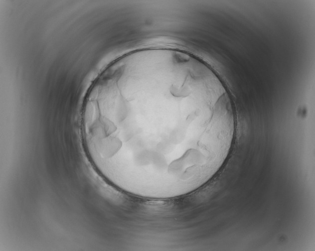 X0000114701478200911121529