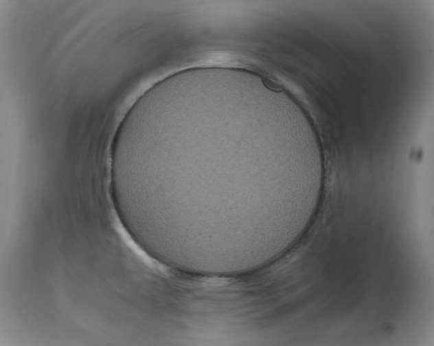 X0000114701479200911121529