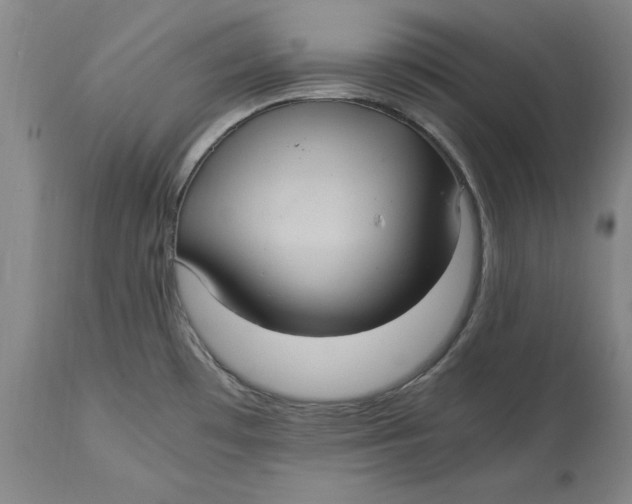 X0000114701481200911121529