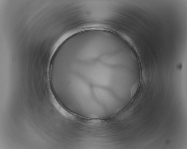 X0000114701482200911121529