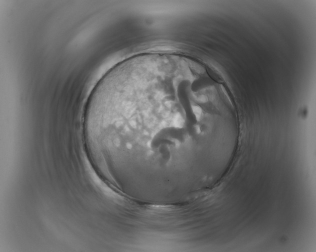 X0000114701483200911121529