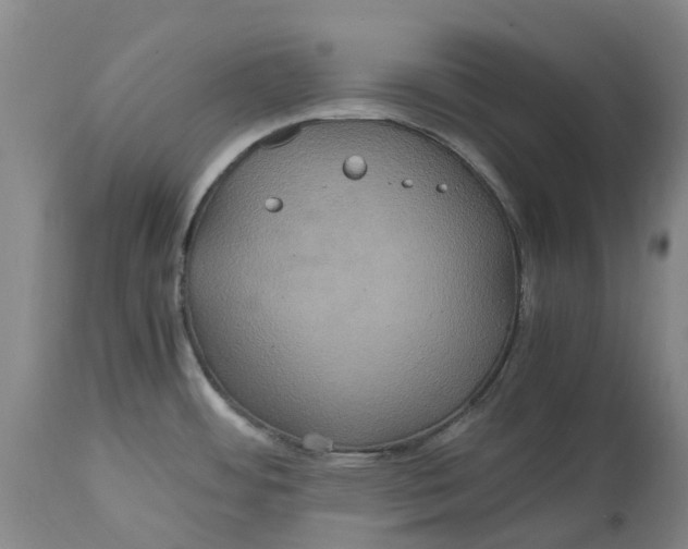 X0000114701484200911121529