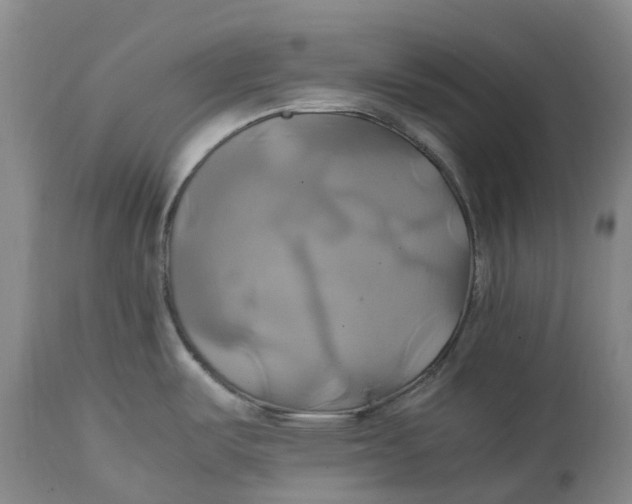 X0000114701487200911121529