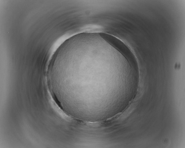 X0000114701488200911121529