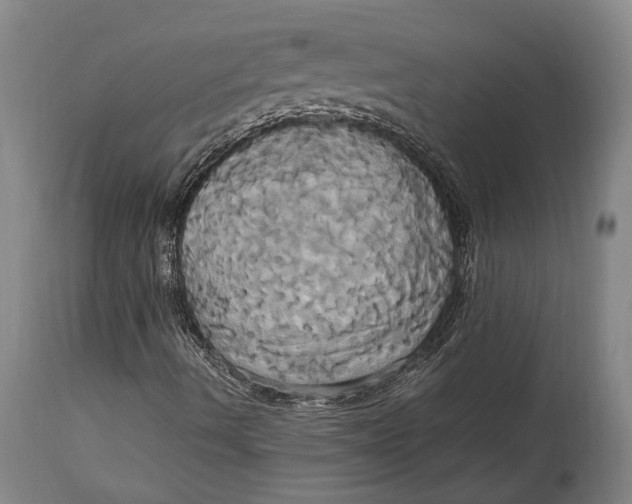 X0000114701490200911121528